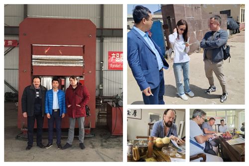 Ultime soluzioni aziendali su Clienti europei hanno acquistato la macchina di vulcanizzazione per lo stampaggio della gomma